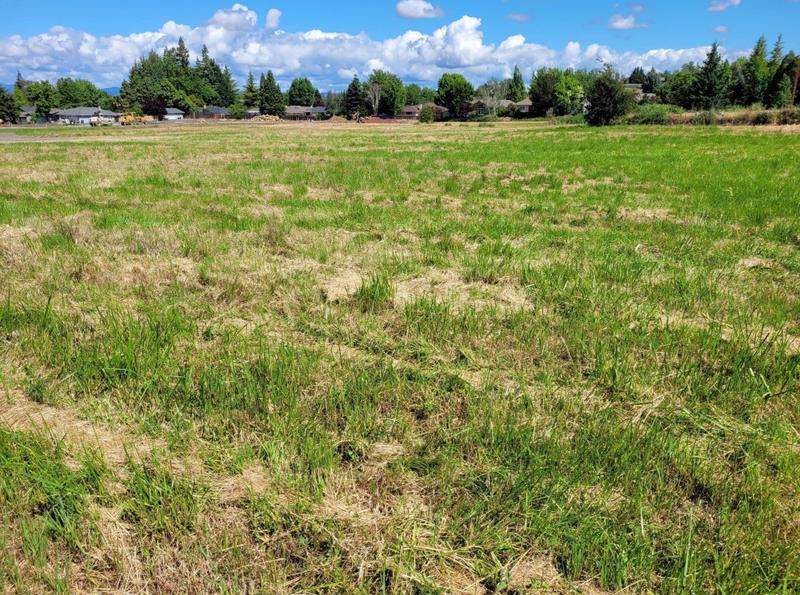 Roberts Road #1100 & 1101, Medford, OR 97504 - MLS 220174575 for Sale