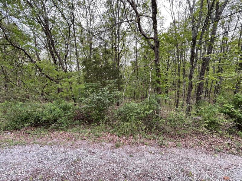 Crossville, Cumberland County, TN Homesites for sale Property ID: 416851549