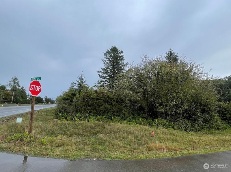 961 Point Brown Ave SE, Ocean Shores, WA 98569 - MLS 2169761 for Sale