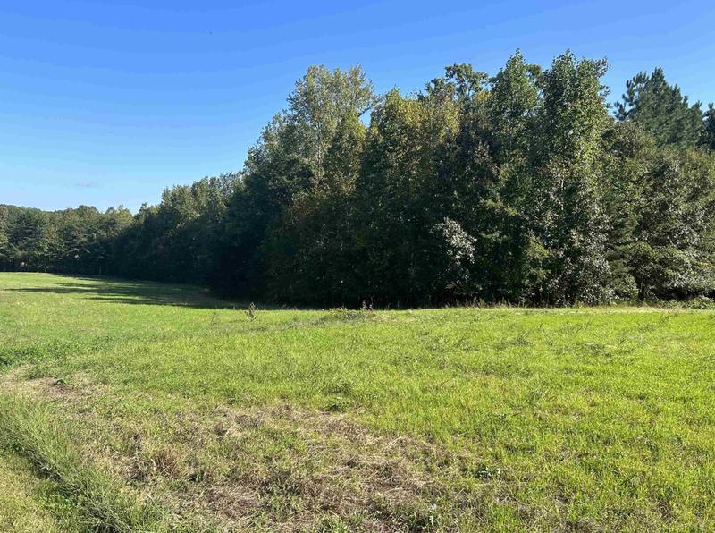 24 Acres Medford Oakley Rd, Rougemont, NC 27572 - MLS 2536854 for Sale
