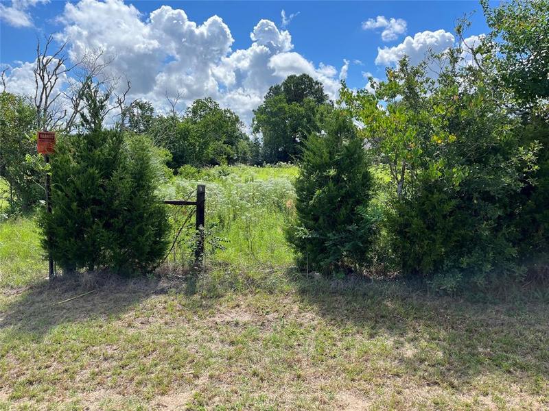 6608 Brockstein Rd, Sealy, TX 77474 for Sale