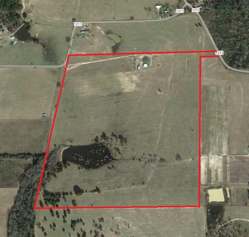 900 Acr 1211, GRAPELAND, TX 75844 for Sale