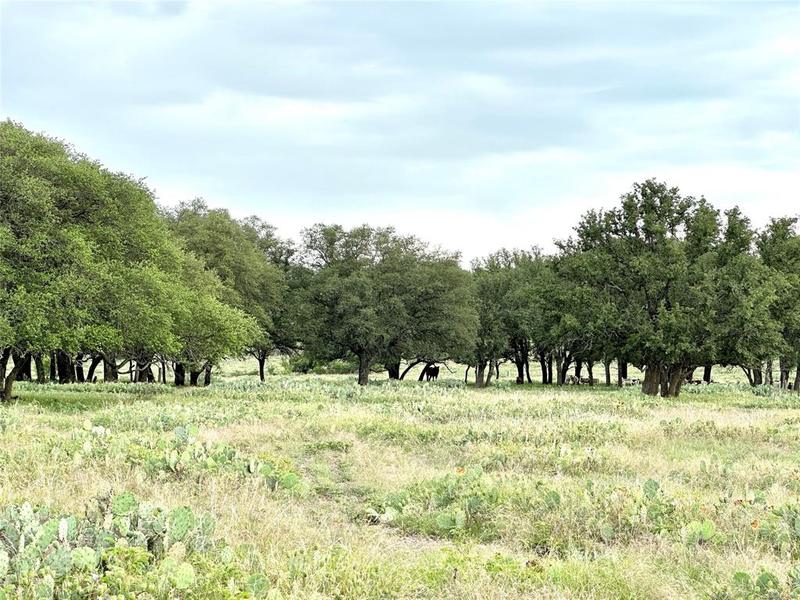 40 County Road 128, Mullin, TX 76864 for Sale