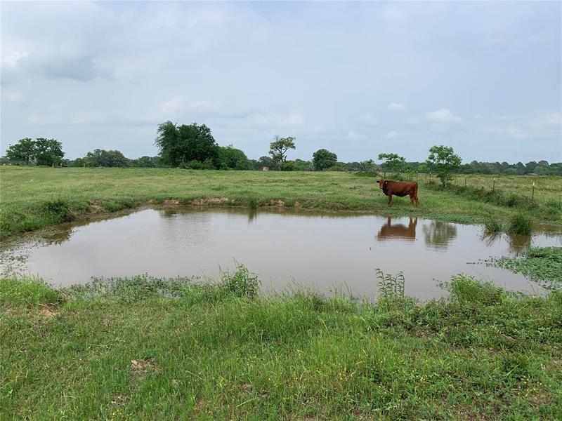 Tract 5 VZ County Road 1504, Van, TX 75790 for Sale