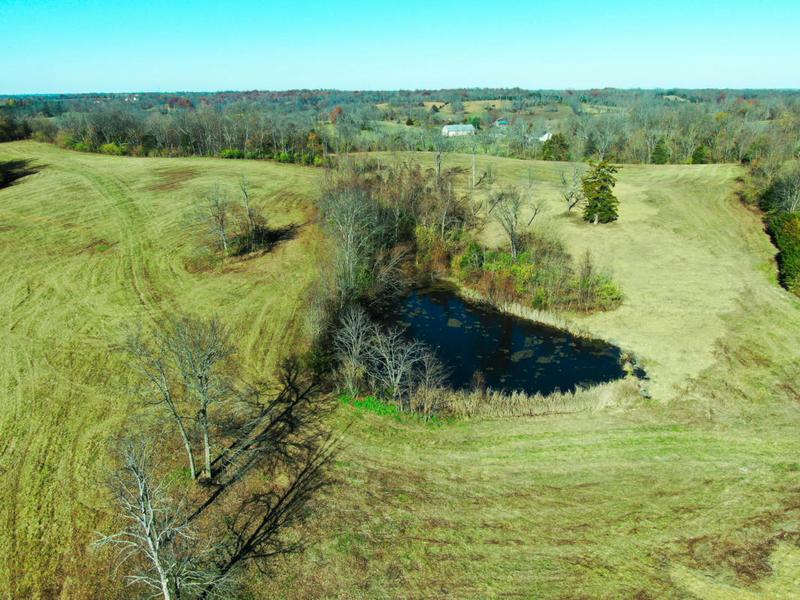664 DAVIS LN, Cynthiana, KY 41031 Farm For Sale  MLS# 23022318