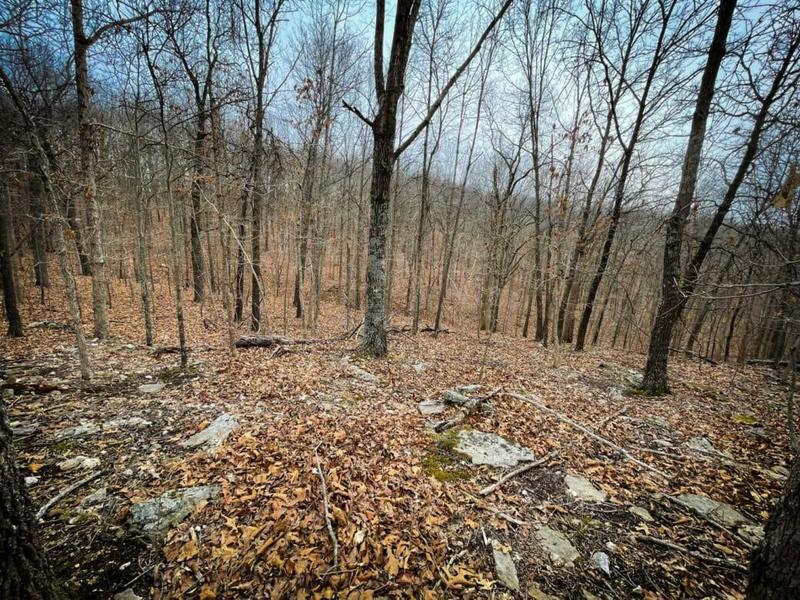 Edwards, Benton County, MO for sale Property ID: 418471297