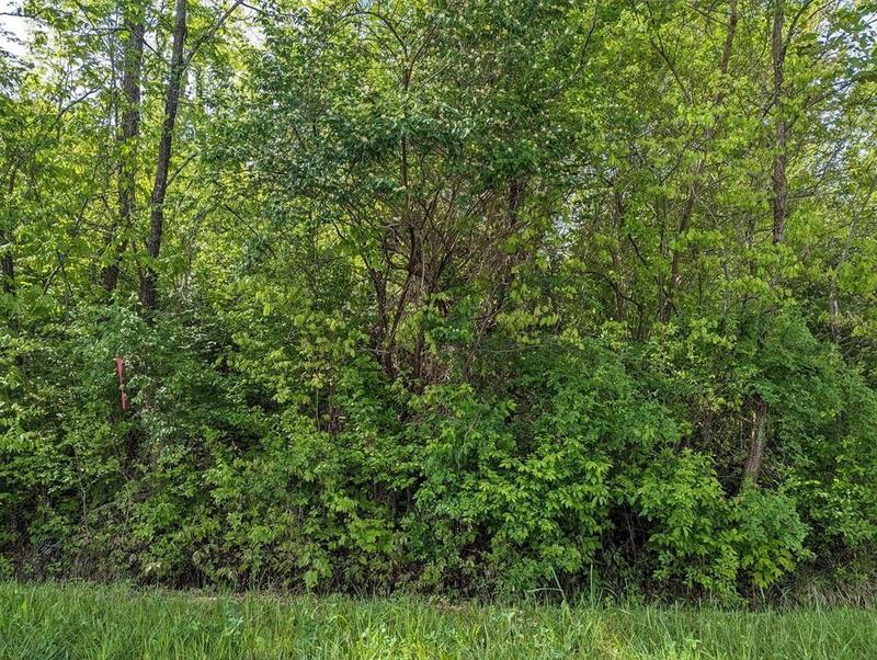 Newport, birde County, TN Undeveloped Land, Homesites for sale Property ID: 416725406