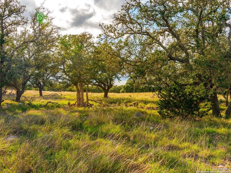 18 Legacy Oaks Drive, Harper, TX 78631 for Sale