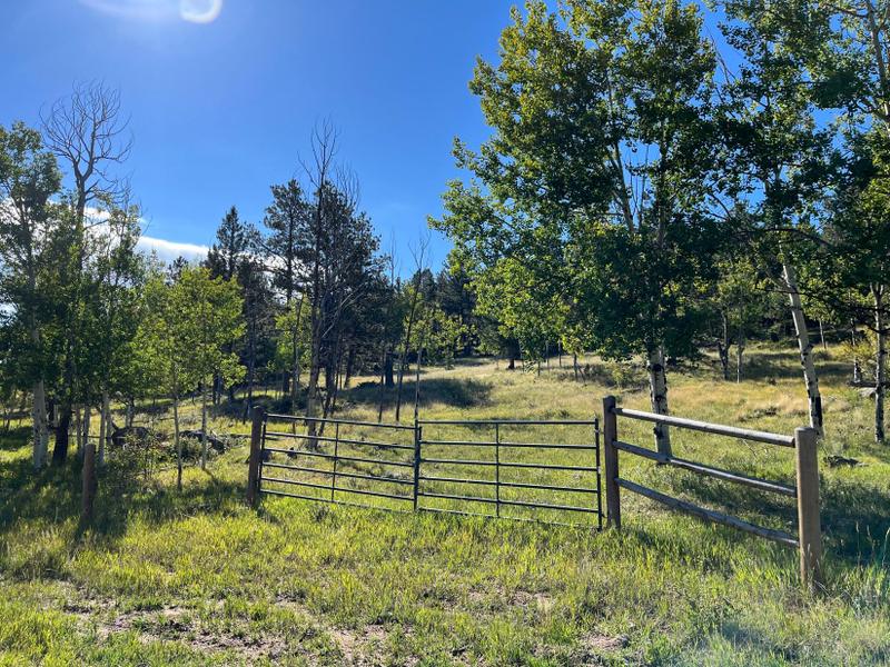 Florissant, Park County, CO Recreational Property, Undeveloped Land for sale Property ID: 417765804