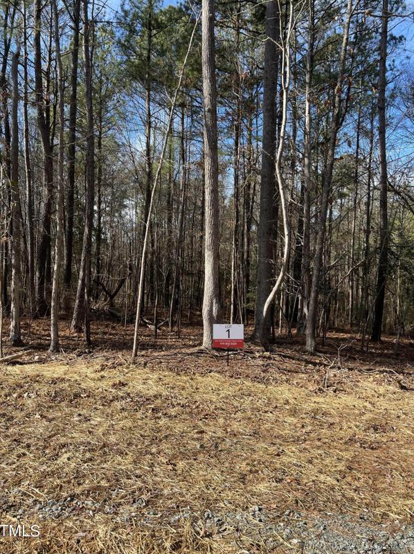 4862 Beaver Creek Rd, New Hill, NC 27562 - MLS 10001860 for Sale
