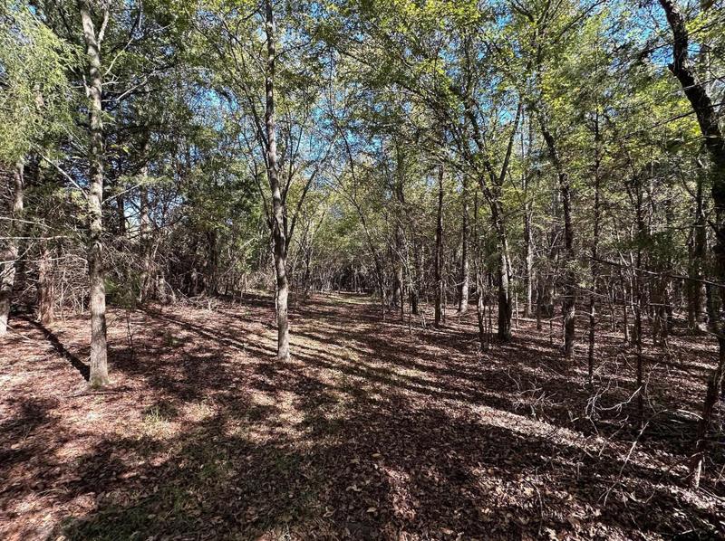 403 Co Rd 4885, Winnsboro, TX 75494 - MLS 23016577 for Sale