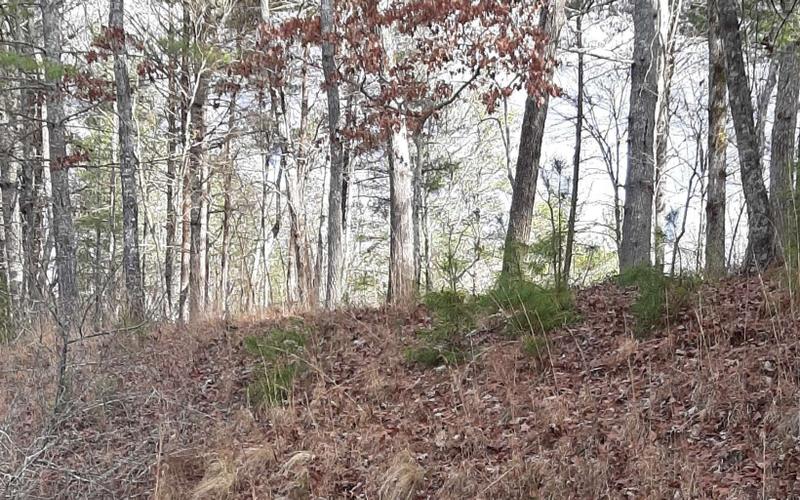 Morganton, Union County, GA Homesites for sale Property ID: 415471554