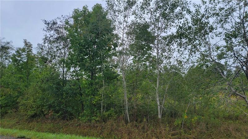 0 DEMUNN LOT 3 ROAD, Beaver Dams, NY 14812 Land For Sale  MLS# R1432518