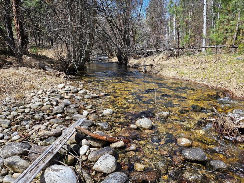 Hamilton, Ravalli County, MT Undeveloped Land, Homesites for sale Property ID: 417069495