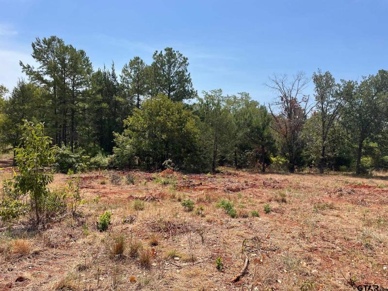 12263 Oak Grove, Tyler, TX 75706 for Sale