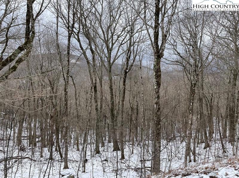 Lot 98 Elk Creek Mountain, Todd, NC 28684 - MLS 242362 for Sale