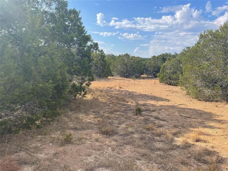 2221 Rocky Ridge Loop, Canyon Lake, TX 78133 for Sale