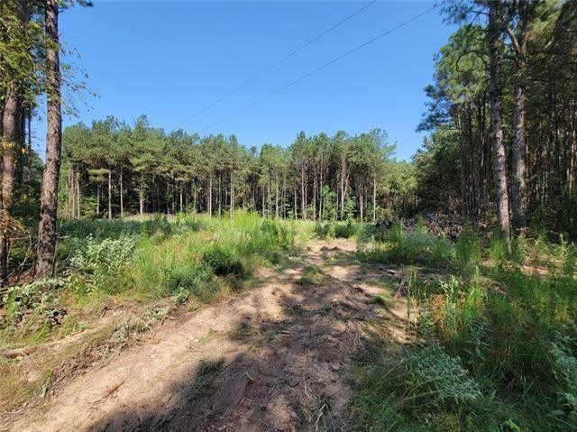 Pineville, Rapides Parish, LA Undeveloped Land for sale Property ID: 416695822