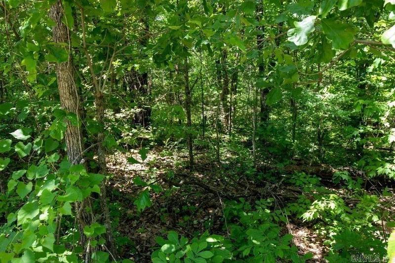 Henderson, Baxter County, AR Undeveloped Land, Homesites for sale Property ID: 418529331