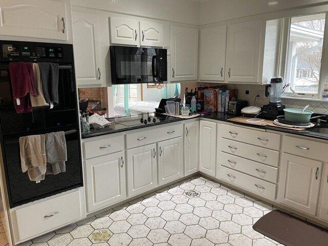 5 Bedroom 3.5 Bath In Boston MA 02130 for Rent