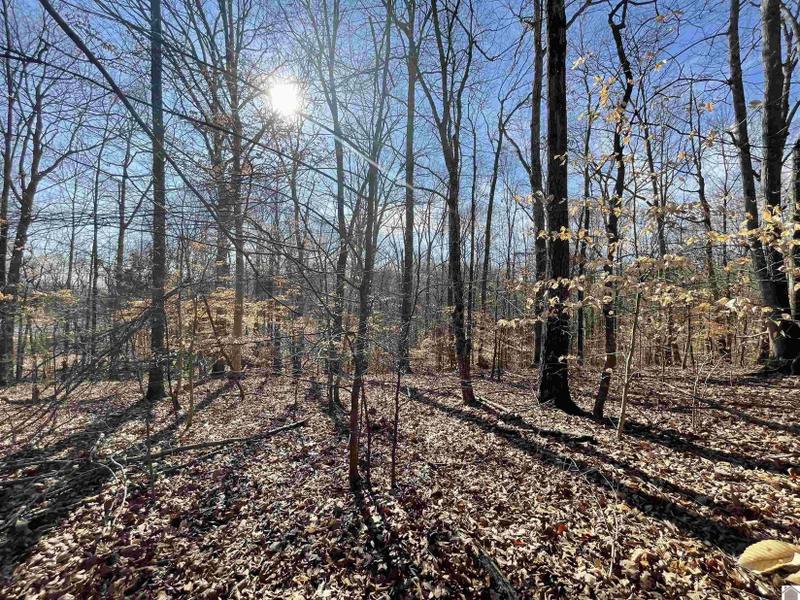 Cadiz, Trigg County, KY Undeveloped Land, Homesites for sale Property ID: 415666431
