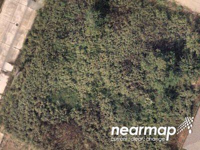 Tupelo St for Sale