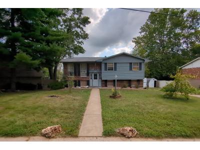 Castellano Dr for Sale