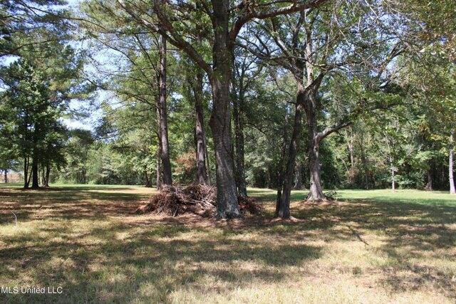 Plot For Sale In Canton, Mississippi