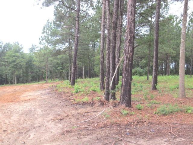 Plot For Sale In Ellisville, Mississippi