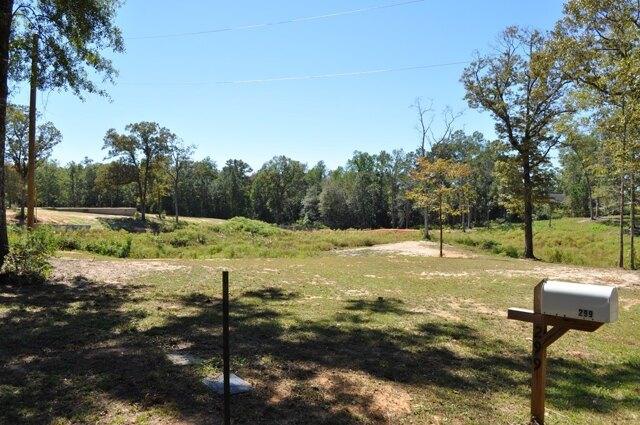 Plot For Sale In Poplarville, Mississippi
