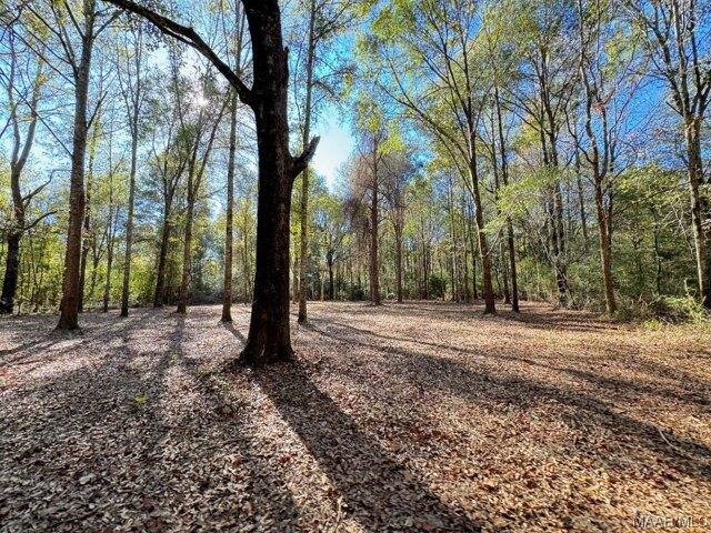 Plot For Sale In Prattville, Alabama