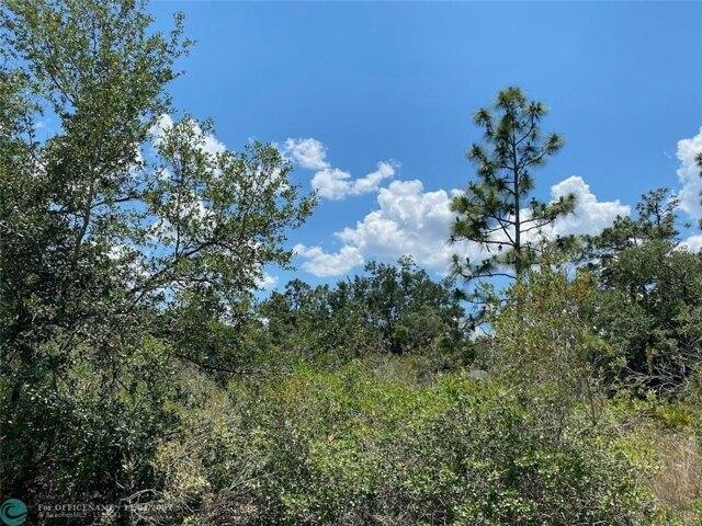 Plot For Sale In Indian Lake Estates, Florida