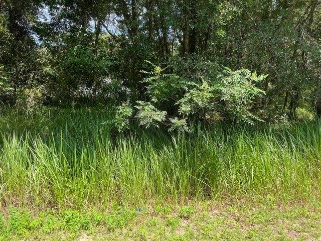 Plot For Sale In Ocala, Florida