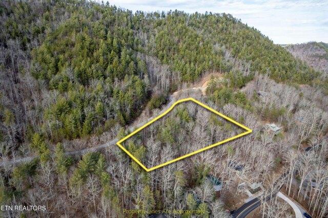 Plot For Sale In Townsend, Tennessee