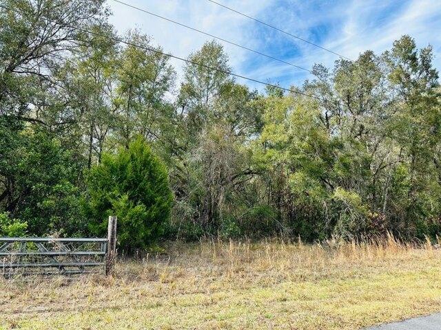 Plot For Sale In Trenton, Florida