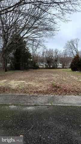 Plot For Sale In Woodbine, New Jersey