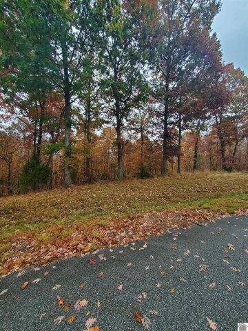 Plot For Sale In Eddyville, Kentucky