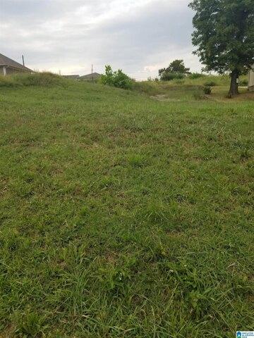 Plot For Sale In Birmingham, Alabama