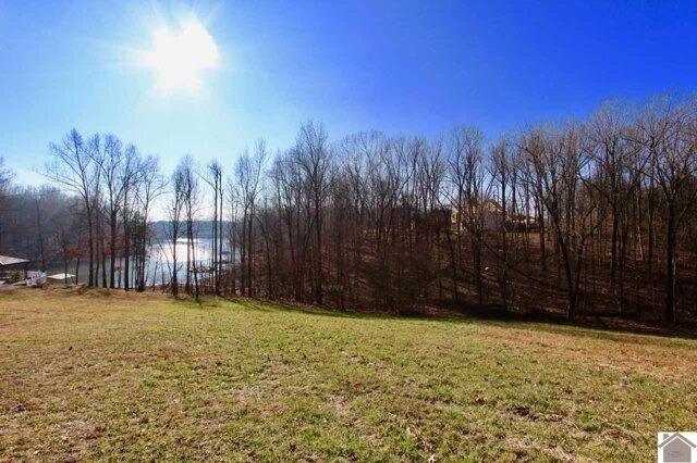 Plot For Sale In Kuttawa, Kentucky