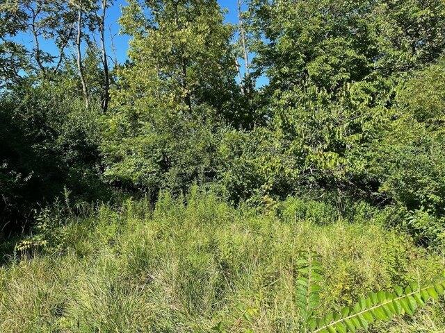Plot For Sale In Cincinnati, Ohio