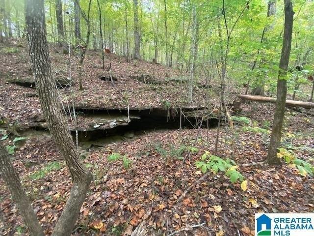 Plot For Sale In Odenville, Alabama