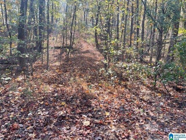 Plot For Sale In Columbiana, Alabama