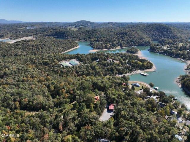 Plot For Sale In Jacksboro, Tennessee
