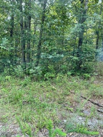 Plot For Sale In Crossville, Tennessee