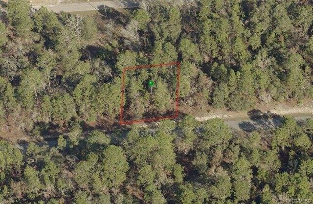Plot For Sale In Citrus Springs, Florida