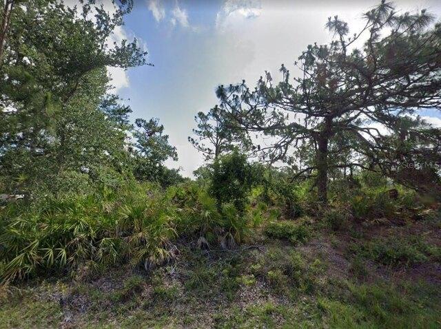 Plot For Sale In Port Charlotte, Florida