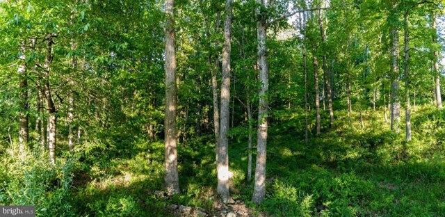 Plot For Sale In Blacksburg, Virginia