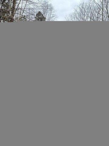 Plot For Sale In Tazewell, Tennessee