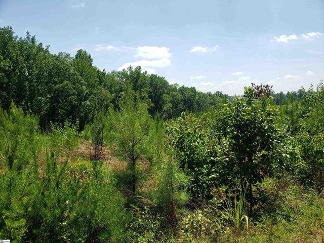 Plot For Sale In Chesnee, South Carolina