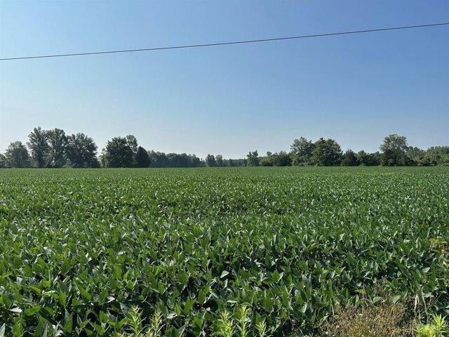 Plot For Sale In Winchester, Ohio